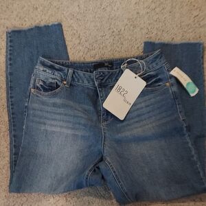 1822 Stitch Fix Womens Jules Straight Jeans